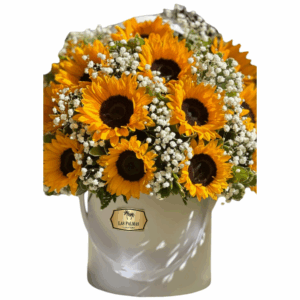 🌻 Arreglo de Girasoles con Gipsophila en Base Blanca – Las Palmas Floristería Bogotá