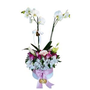 🌸 Arreglo en Caja con Orquídeas Blanca | Floristería Las Palmas Bogotá y Cali