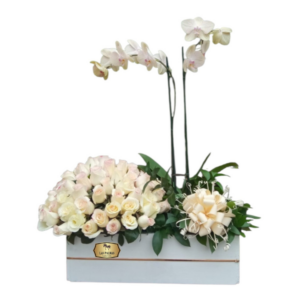 Arreglo de Orquídeas Phalaenopsis y Rosas Blancas | Caja de Lujo Bogotá