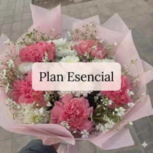 🌸 Plan Esencial – Suscripción Mensual de Flores